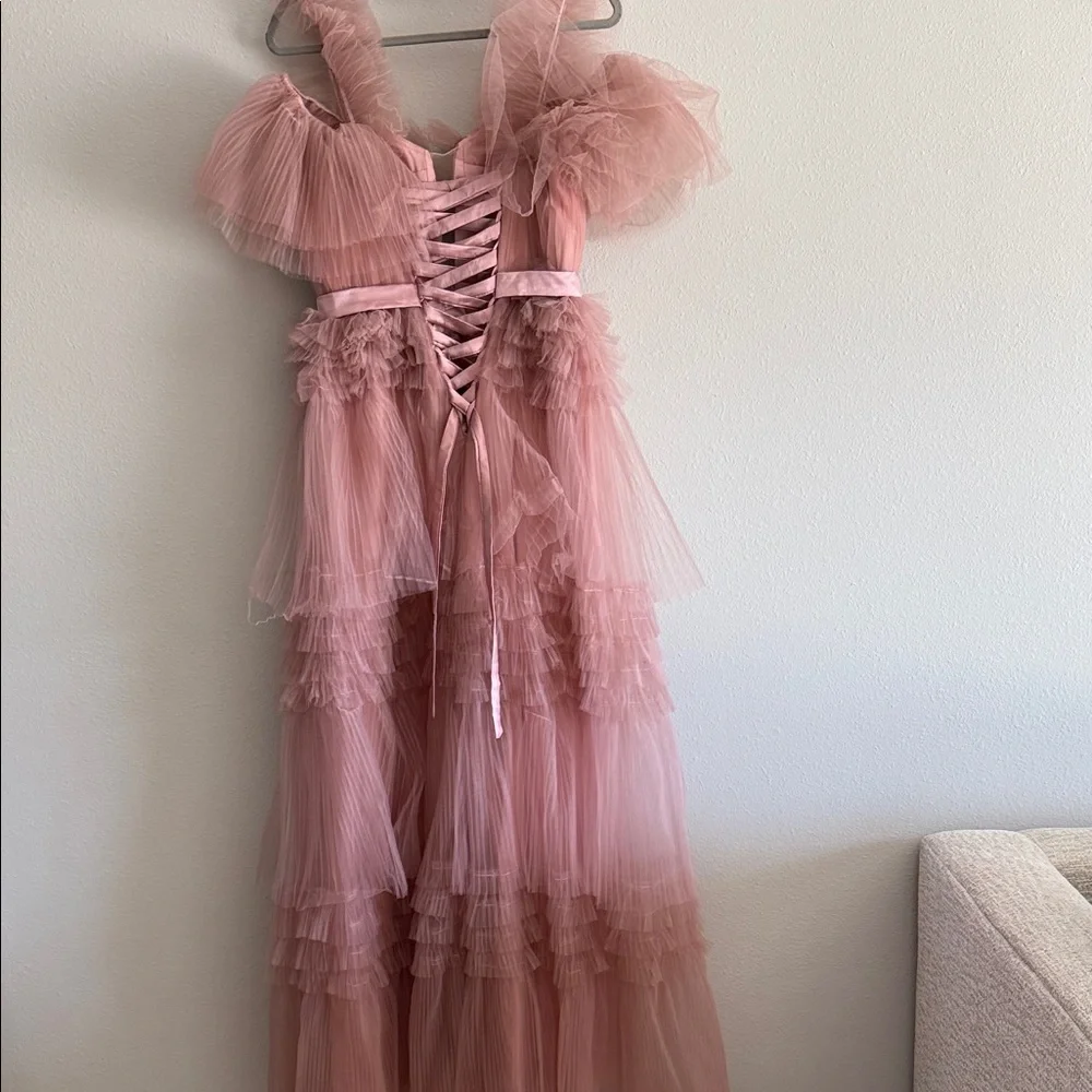 Pink Tulle Ruffle Dress - Picture 5 of 5